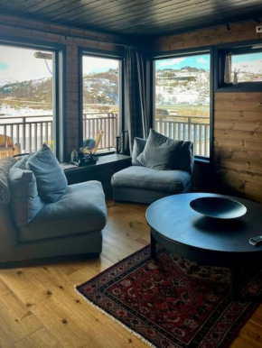 Cozy apartment in a central location in Sirdal